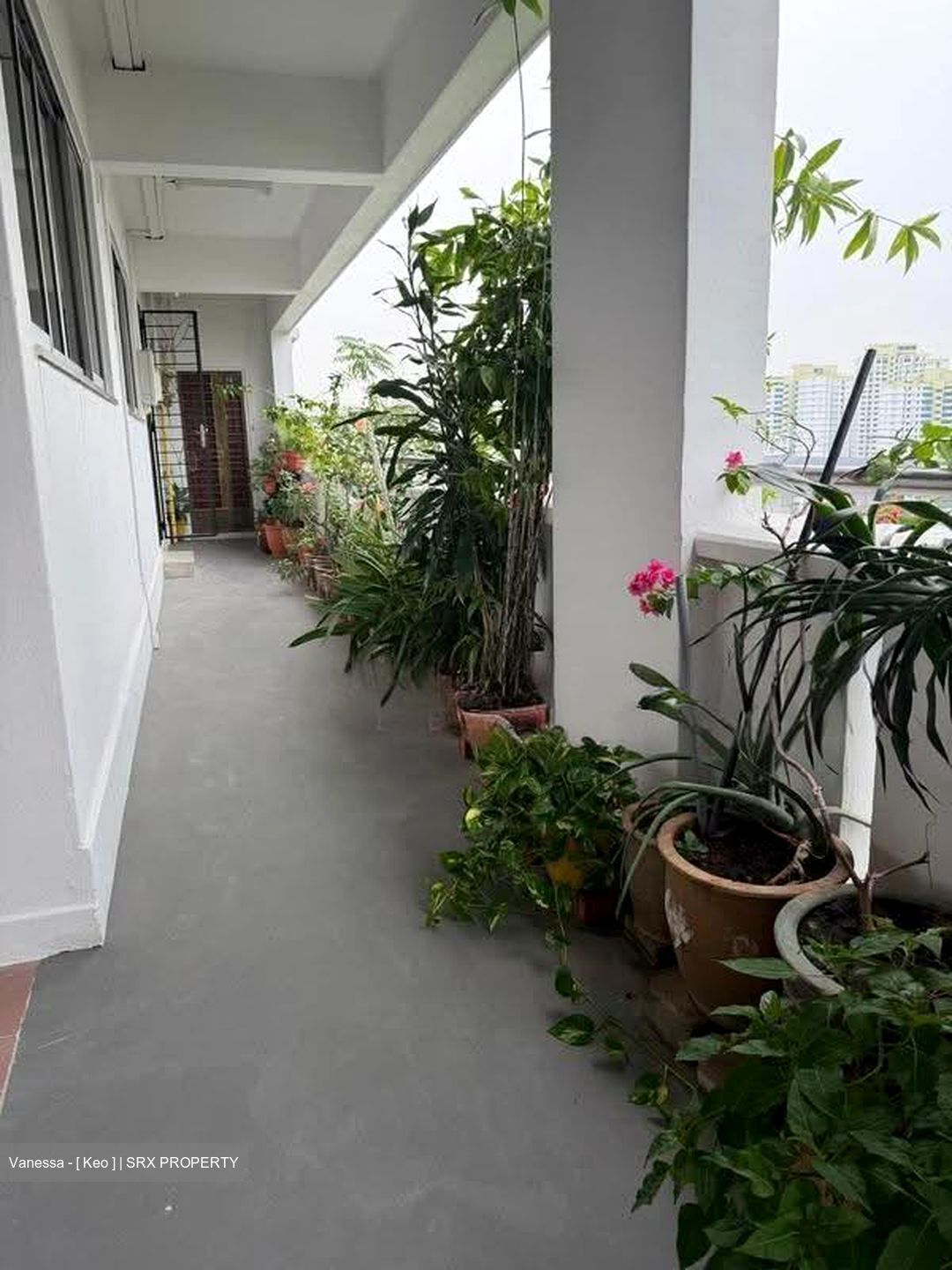 Blk 238 Bukit Panjang Ring Road (Bukit Panjang), HDB 4 Rooms #625034881